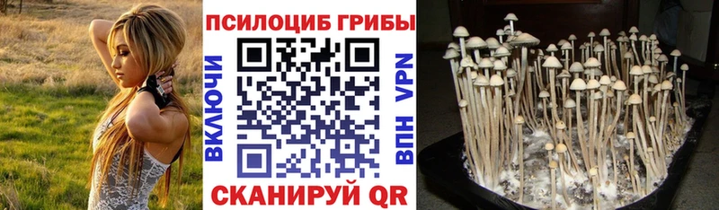 Галлюциногенные грибы ЛСД  Купить где  Динская 